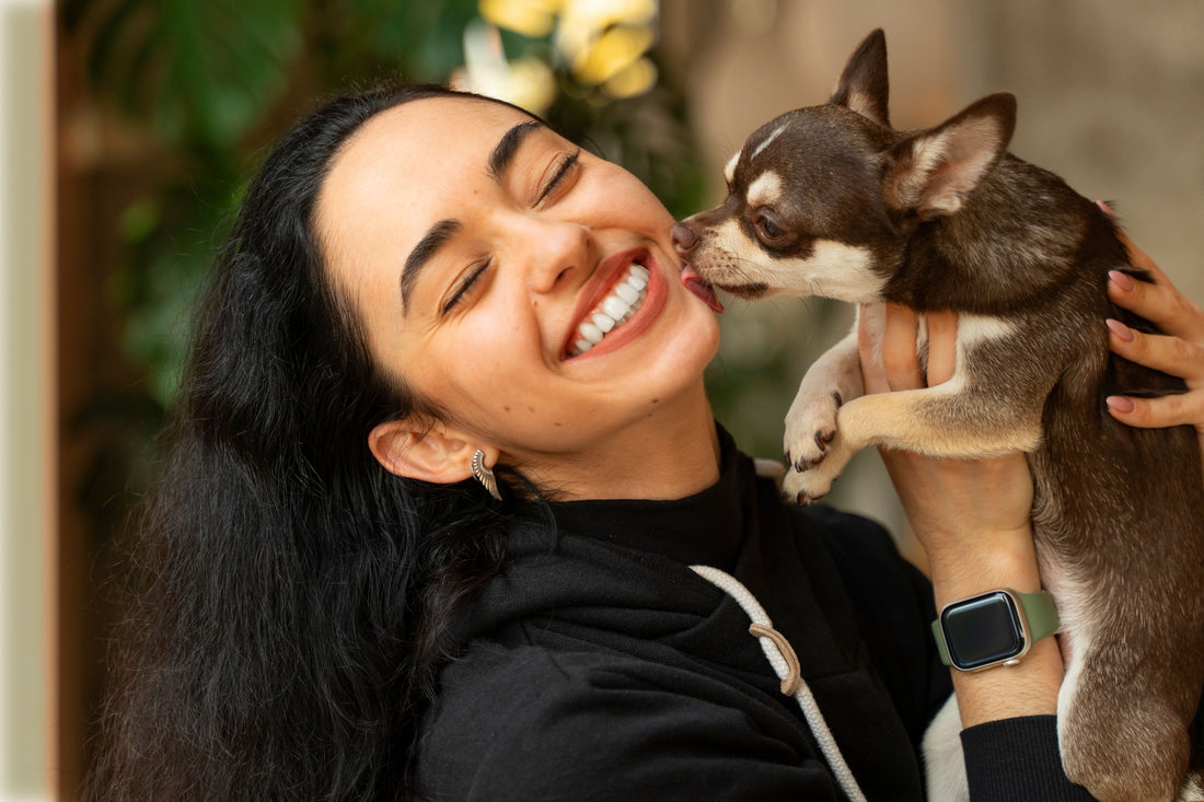 O que fazer antes do seu primeiro cachorro chegar em casa?