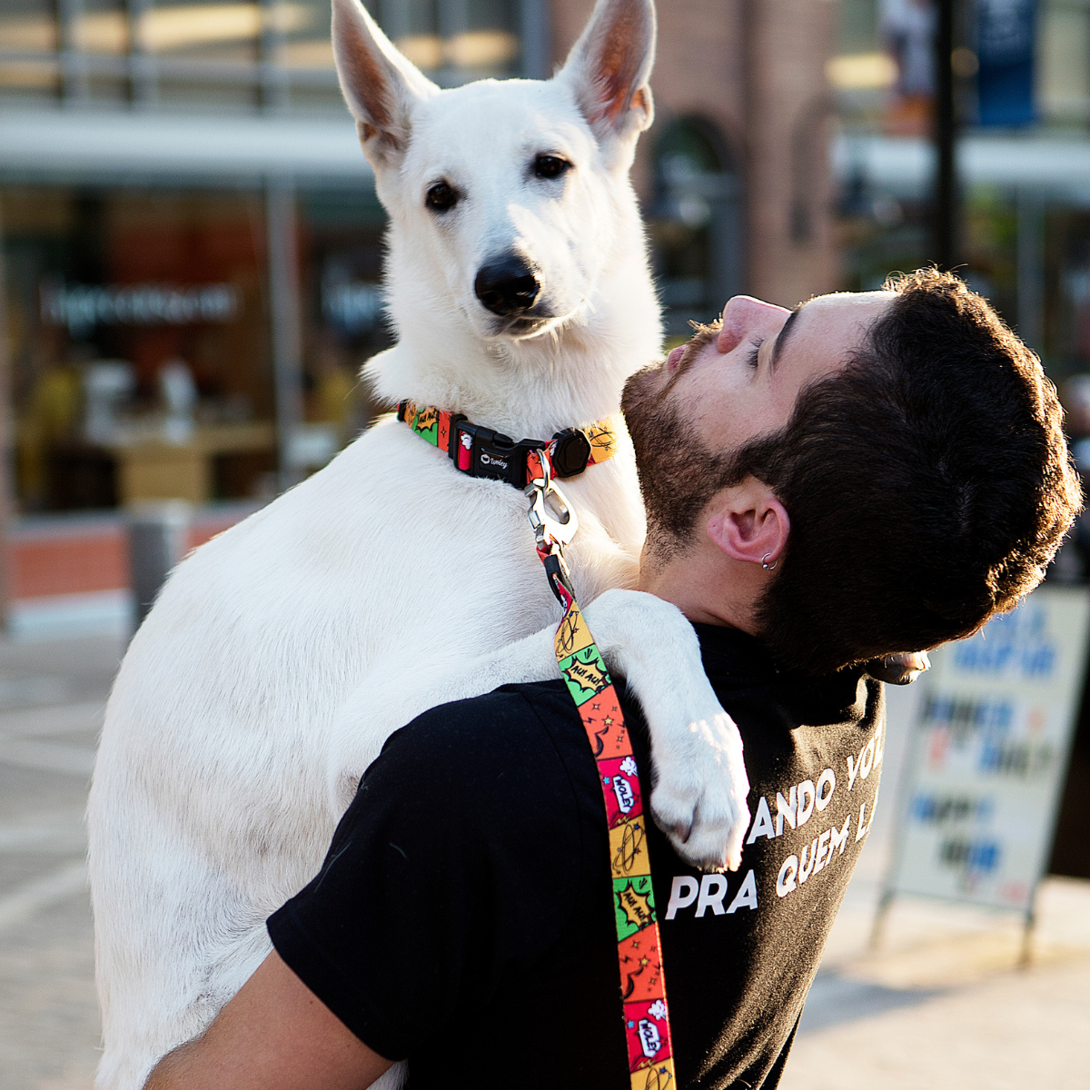 Cachorro grande branco no colo do tutor usando coleira e guia Woley HQ